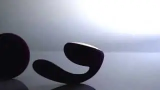 VIBRADOR PARA PAREJAS - IDA Y TARA DE LELO.