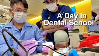 A Day in the Life of a Dental Student - Root Canals!