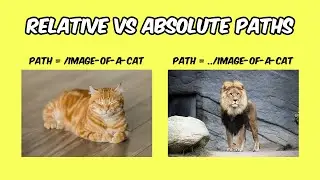 Relative & Absolute Path In HTML