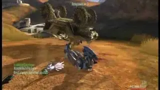 Backhanded Warthog