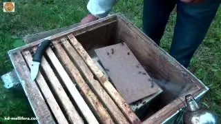 Заселение бессотового пакета