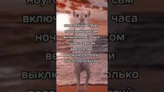 Я у мамы программист 