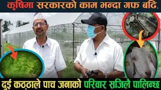 कृषि क्र्रान्तिमा दमक ३ स्थित मानसरोवर कृषि सहकारी संस्था ||MY ONLINE TV