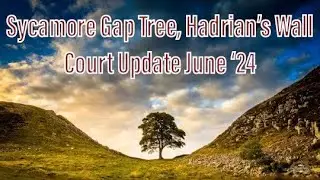 Sycamore Gap Tree - Court Update June 2024