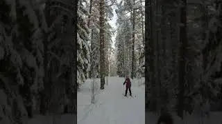 влису