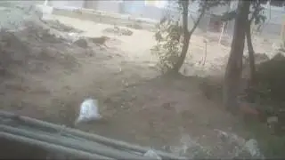 31 08 2016  Хорошевское шоссе вл 38 около 3 корпуса ч 2