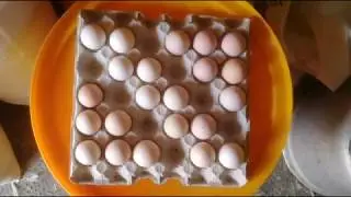 Шашлык из бройлера.