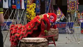 USDLDF National Dragon and Lion Dance Championships 2023 cubs kids TCT Austin Texas- mua lan 4K