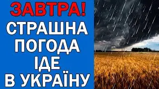 ПОГОДА НА 8 ЧЕРВНЯ - ПОГОДА НА ЗАВТРА