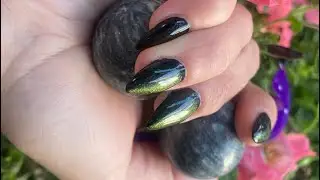 Мой кошачий маникюр..