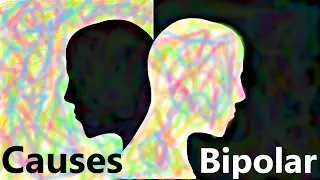 Causes of Bipolar Disorder Explain Video