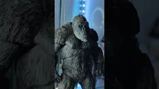 ride wife, life good #godzilla #kong #actionfigures #godzillavskong #godzillaxkongthenewempire