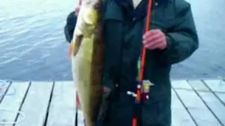 Отзыв о Морковке, Element 21.flv