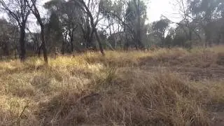 Angove Conservation Park
