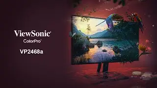 ViewSonic VP2468a Monitor Review & Photoshop Artwork