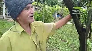 Pruning and Orchard Care with Sergio Semerdjian