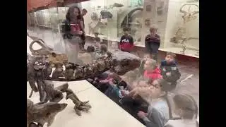 Палеонтологический музей им. Ю.А. Орлова РАН