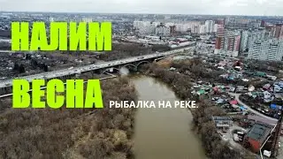 Рыбалка . Налим . Весна . Река .