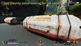The Perfect Rat Spot