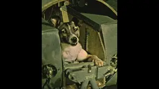 Rockdog Dobie Gray "Drift Away" Bible Study