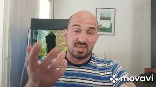 МИШУСТИН М.В. и МИННИХАНОВ Р.Н. Чистопольской Администрации НЕ УКАЗ.