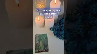 💘 Его истинные чувства! #таролог #tarot #таролюбовь