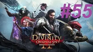Z Plays Divinity: Original Sin 2 (First run) - #55