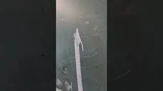 Die Schönheit der arabischen Kalligraphie