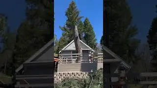 Crane removal ￼