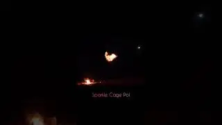 Sparkle Cage Poi - Sacred Flow Art