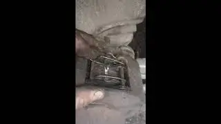 Замена задних колодок Мерседес VITO 638