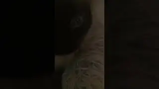 А Я ЧЁРНЫЙ (АРТУР ЧЁРНЫЙ?!) 
