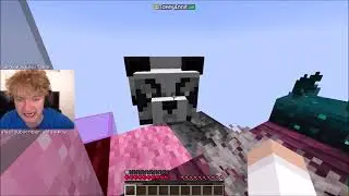 Tommyinnit Randomized Sky Blocks ALL ALONE