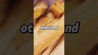 The Tinder Experiment: Tinder vs Kindling