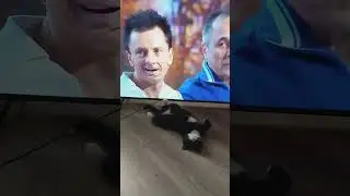 Анфиска 😹 обажает Уральские пельмени