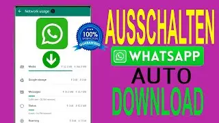 So deaktivieren Sie den automatischen Download in WhatsApp