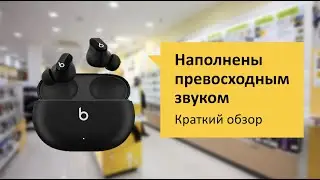 Beats studio buds Обзор и отзыв от НОУ-ХАУ.