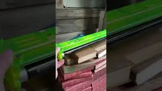 Preheat blacklight at an antique store