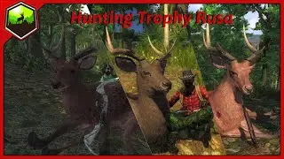 Hunting Trophy Rusa Deer | theHunter Classic