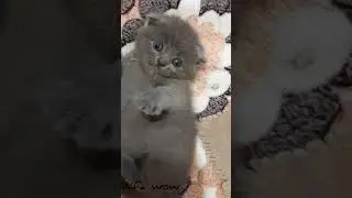 але кто это? директор? да пошел ты в жопу директор 🤣ржака
