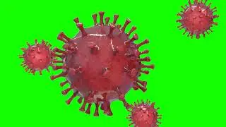 Green screen VIRUS 3D free Corona virus footage Animation COVID 19