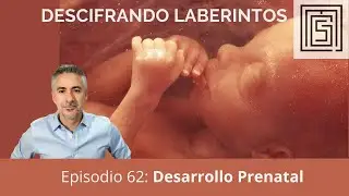 Ep 62: Desarrollo Prenatal