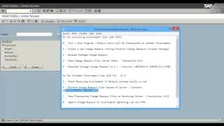SAP  ABAP - How to Export and Import an External Change Request