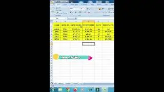How to Use the Format Painter in Excel