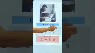 Cantonese vs Mandarin - Common Verbs 📕