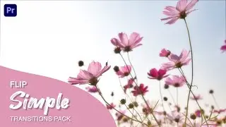 Flip Simple Transitions Pack  Premiere Pro Template
