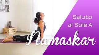 Yoga Salute to the Sole and Surya Namaskar