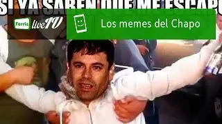 Todo fue El Chapo