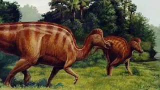 Tribute to Corythosaurus.