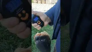 если рыбалка, то только такая 